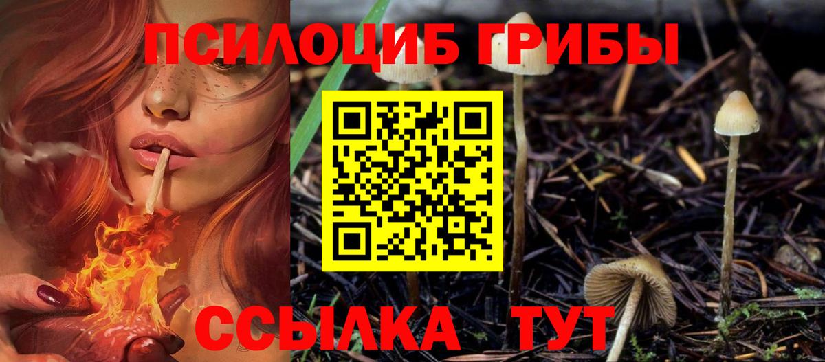 Галлюциногенные грибы мухоморы Евпатория