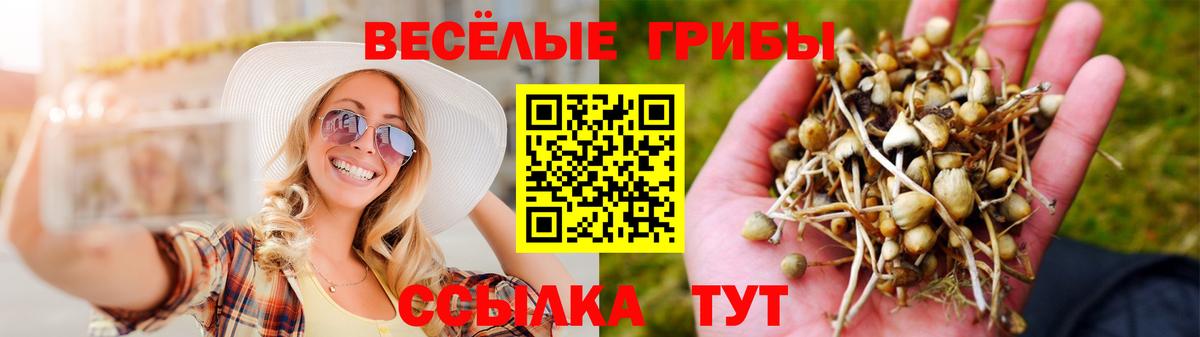 Галлюциногенные грибы Magic Shrooms  Псилоцибиновые грибы MAGIC MUSHROOMS  Вход с VPN  Евпатория 